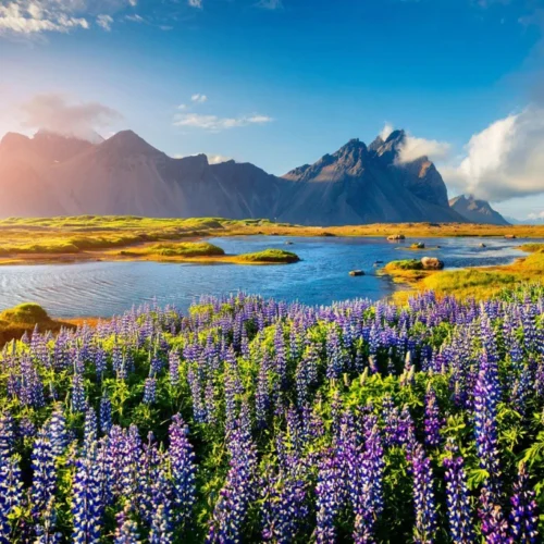 Islandia